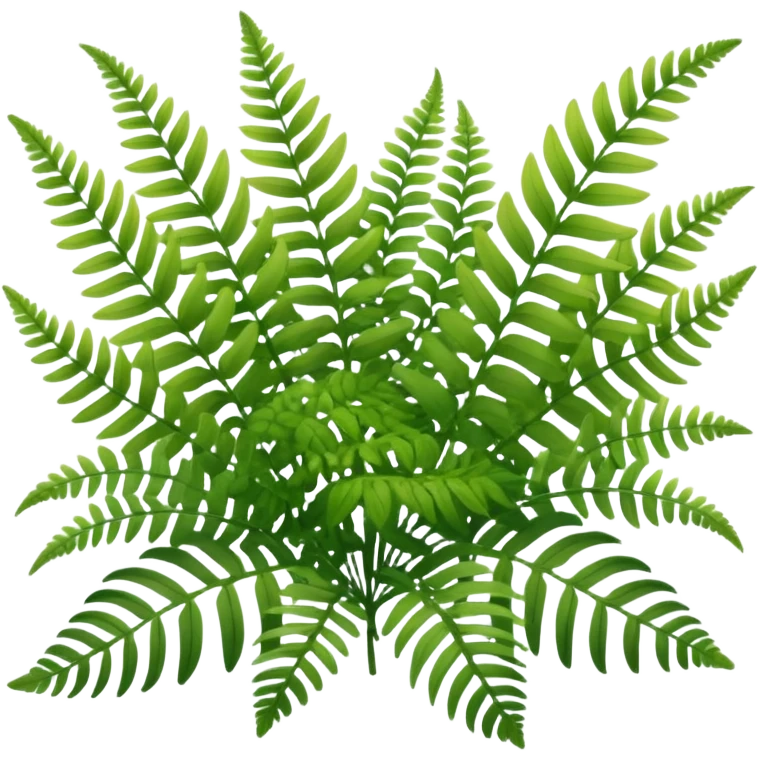 A cluster of soft green ferns growing under shaded trees. emoji
