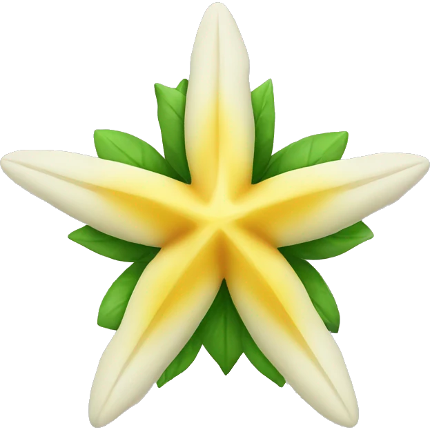 christmas star flower emoji
