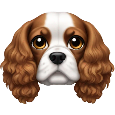 realistic cavalier dog with black ears emoji
