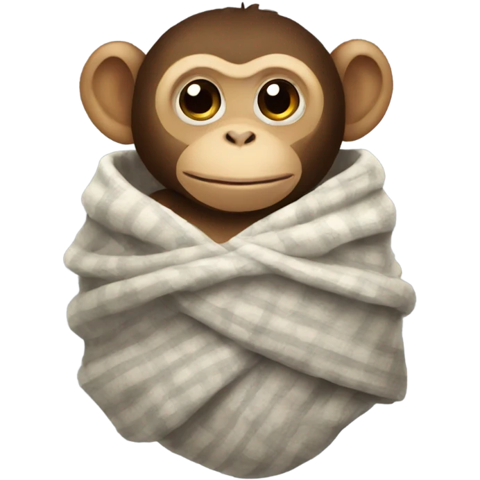 monkey in blanket  emoji