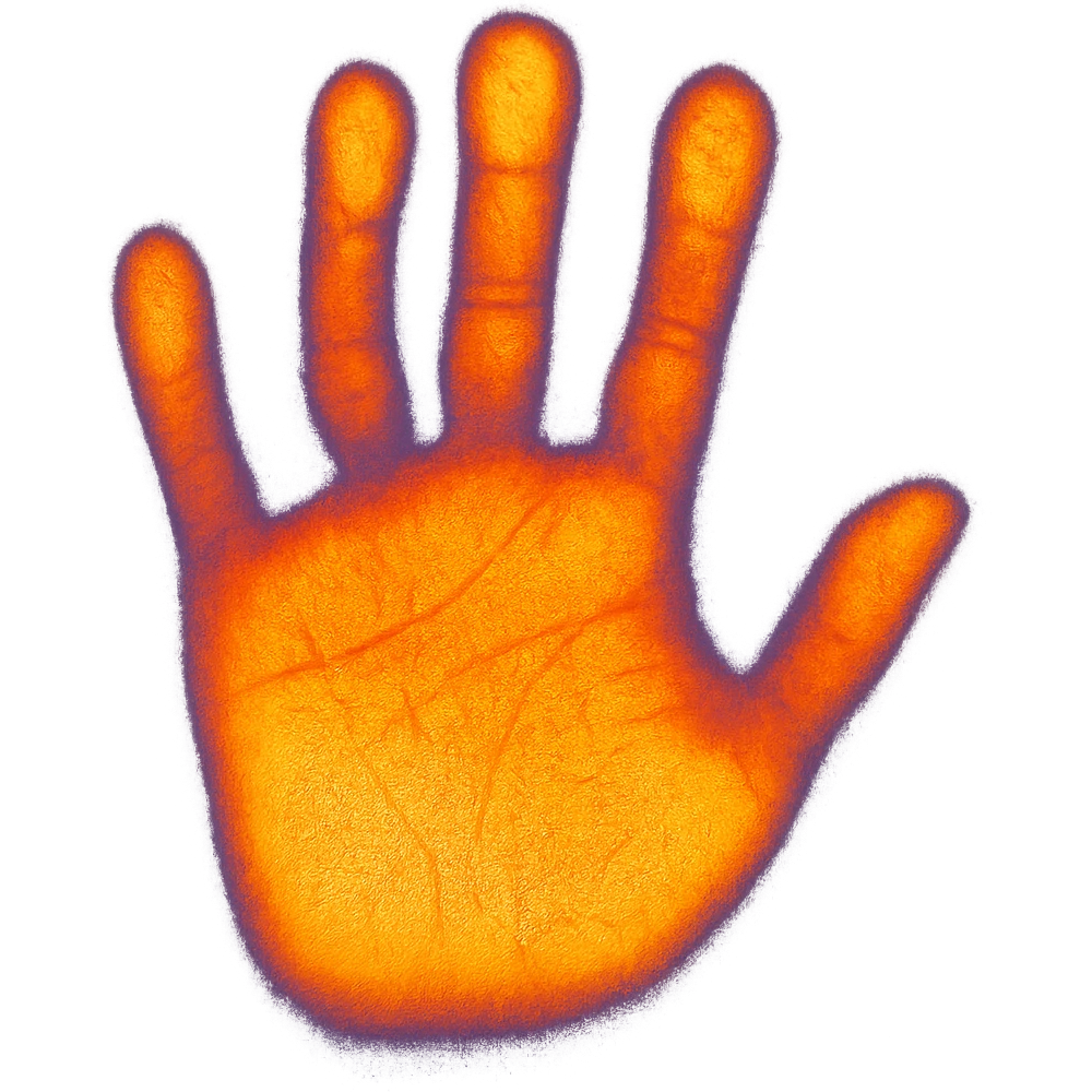 handprint with detailed fingerprints emoji