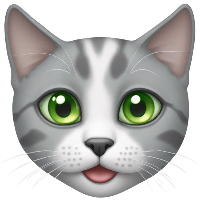 grey and white shorthair cat, one blue eye and one green eye emoji