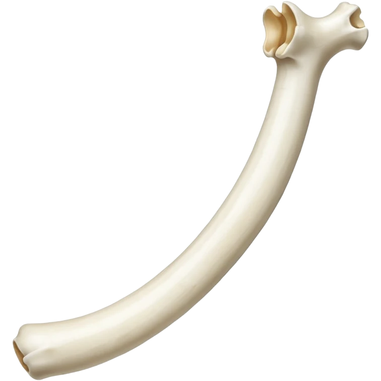 singular long anatomically-correct bone emoji