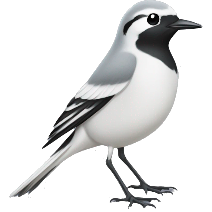White wagtail emoji