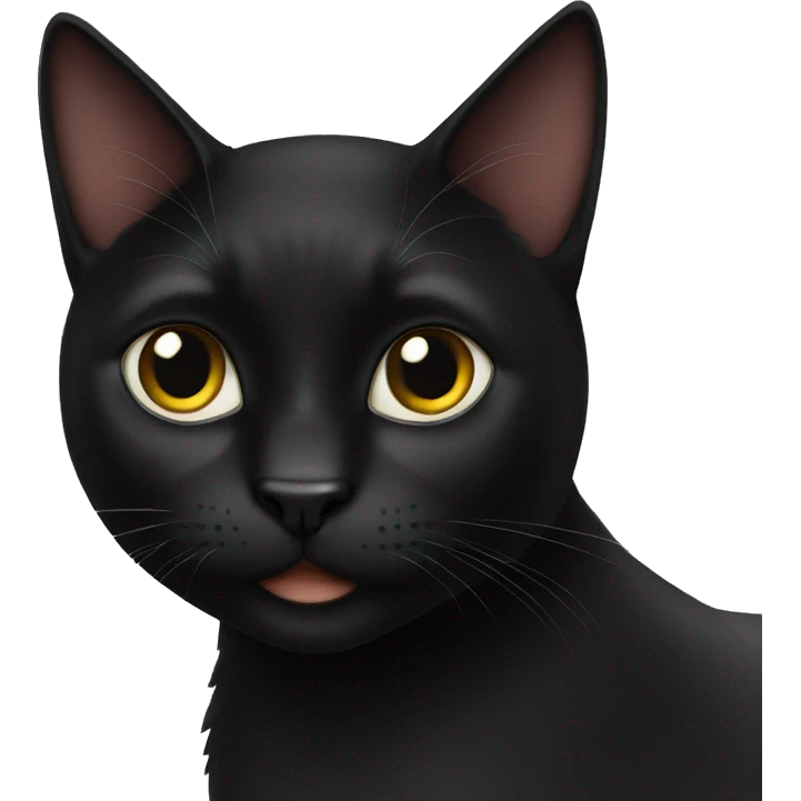 Black cat emoji