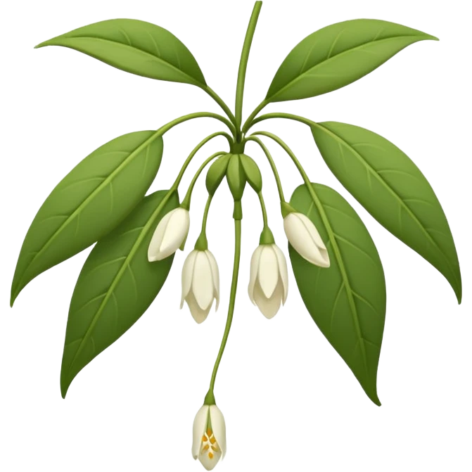 wilted jasmine emoji emoji