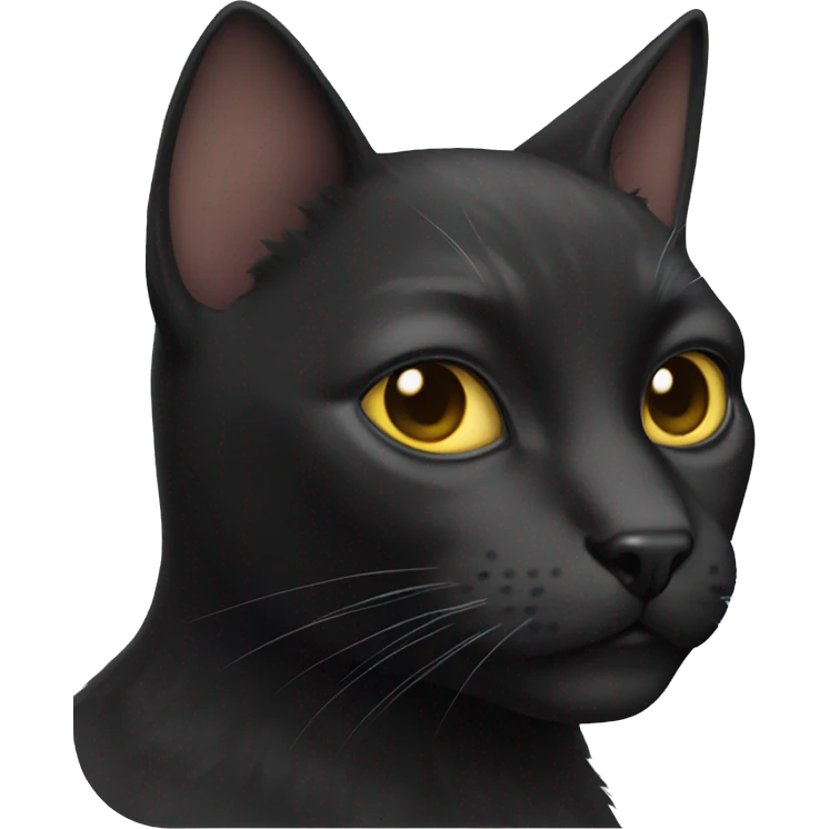 BLACK CAT HERO emoji