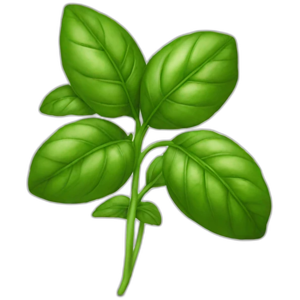 basil emoji