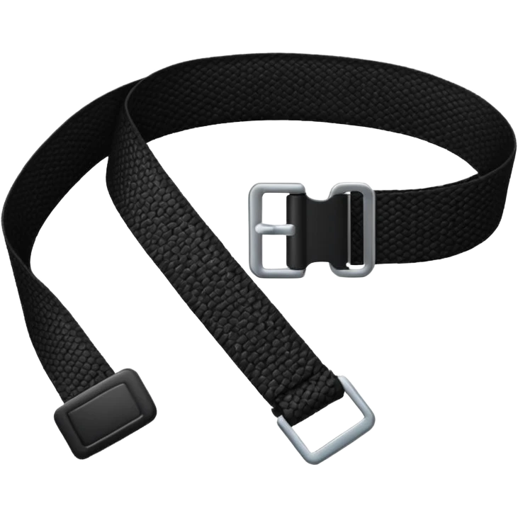 seat belt  emoji