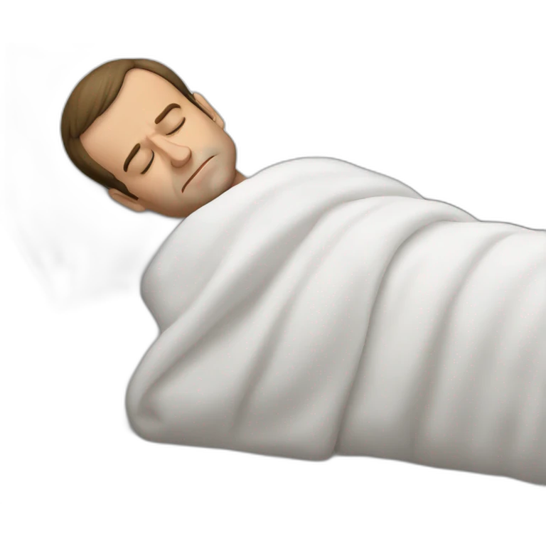 emmanuel macron sleeping emoji