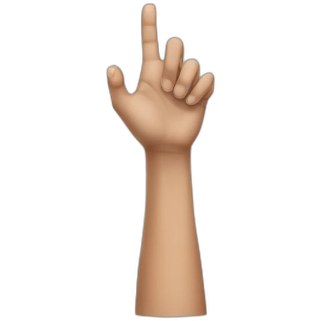 Hand up boy position emoji
