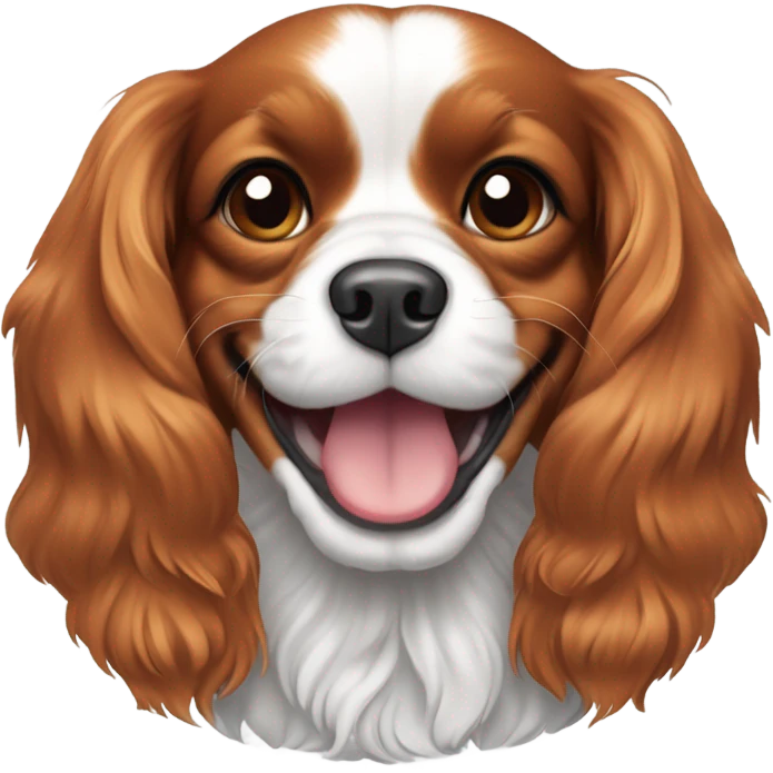 Cavalier King Charles Soaniel Blenheim colour with a smile emoji