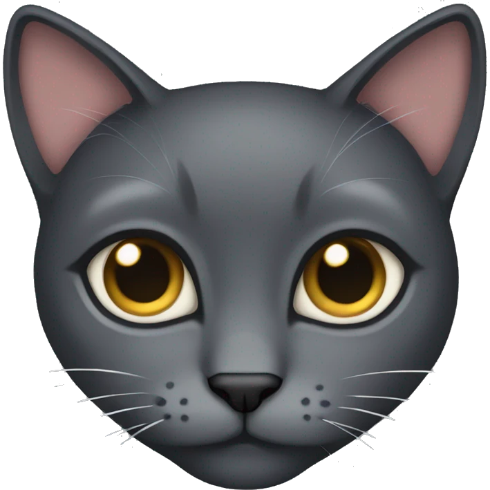Dark grey cat sassy emoji