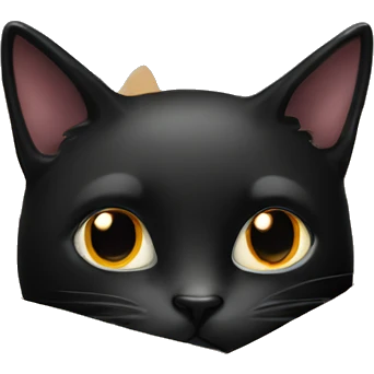 A black cat in a box emoji