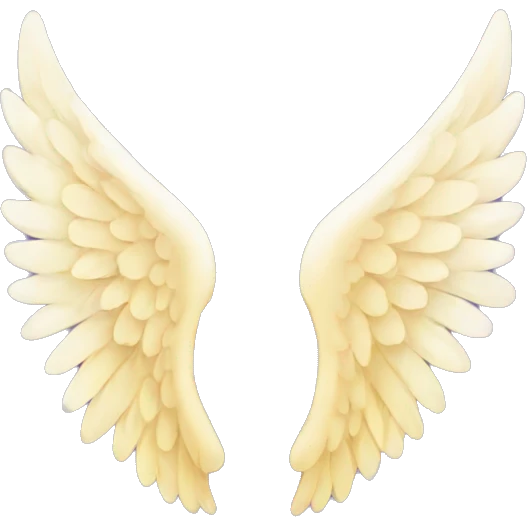 angel wings emoji