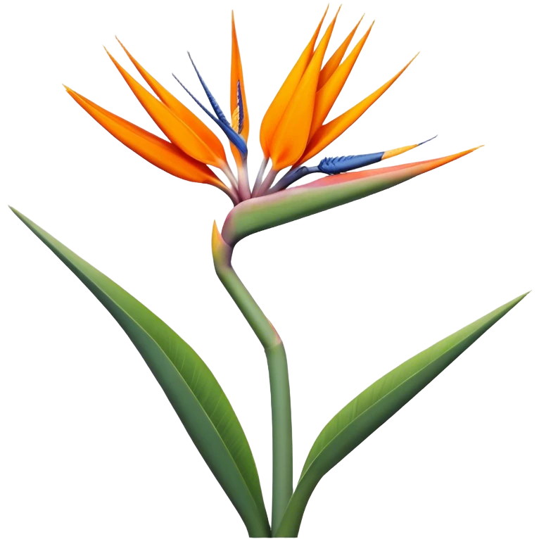 single Strelitzia Reginae, straight stem emoji