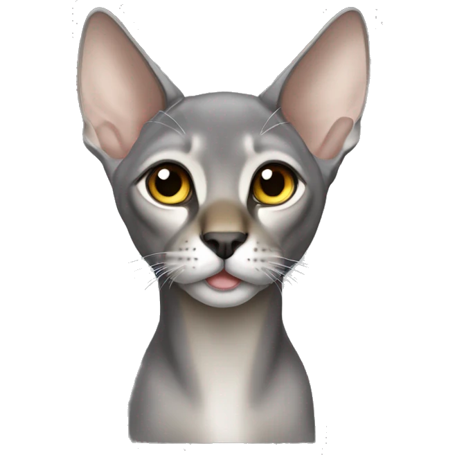 Silver Abyssinian without a left ear emoji