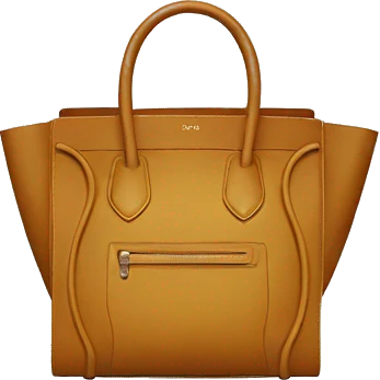 Celine bag  emoji