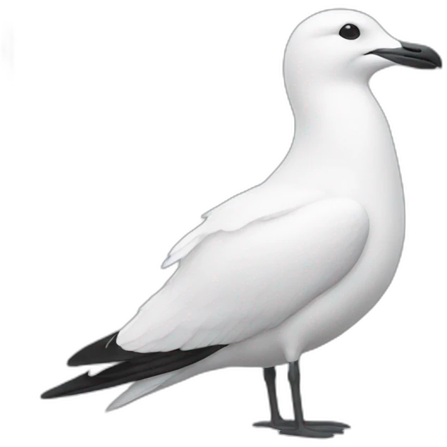 white seagul emoji