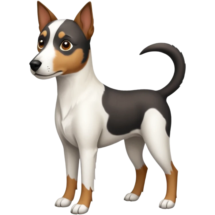 a full body large white parson russell looking dog the size of a kelpie with light brown ears and a light brown patch on one eye and a large snout emoji