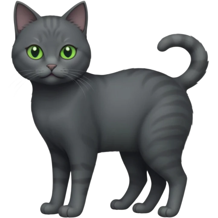 full body view of beautiful female solid dark grey cat with green eyes, grey face, white toes/paws and small white patch on her chest emoji