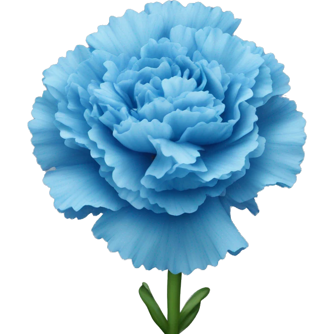 Blue carnation flowers  emoji