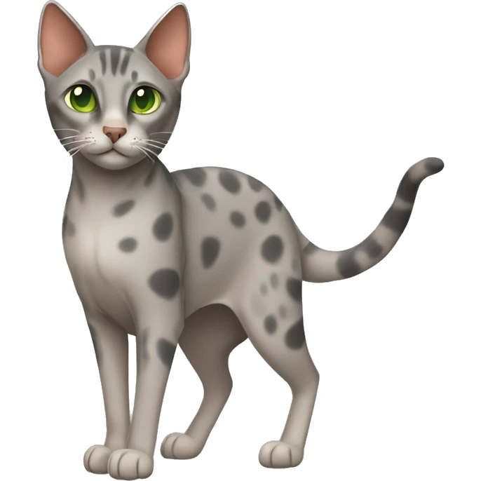 Short-haired oriental cat ,full body , grey coat with spots , green eyes , terracotta nuzzle emoji