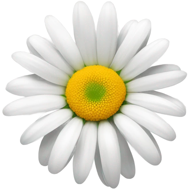 daisy vibrant white emoji