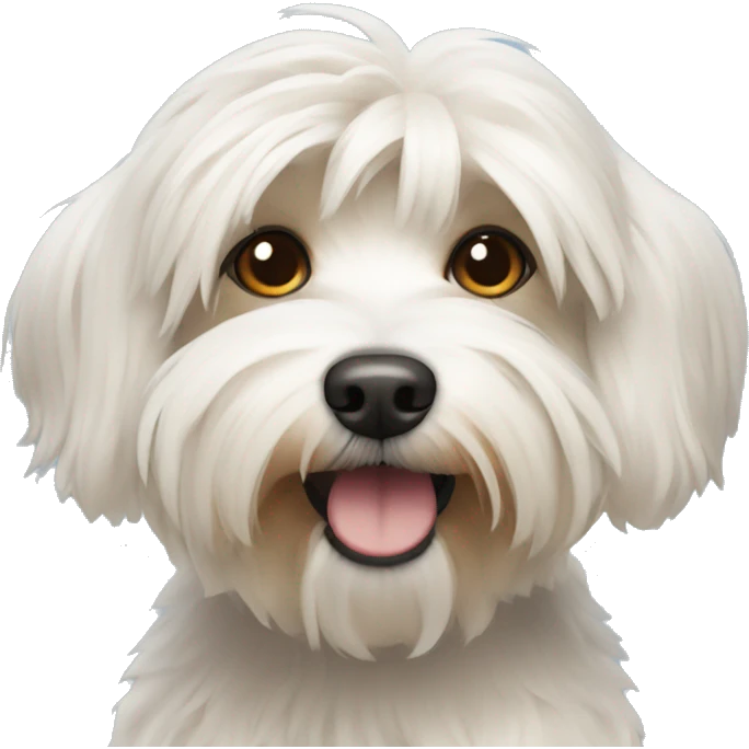 Havanese dog emoji