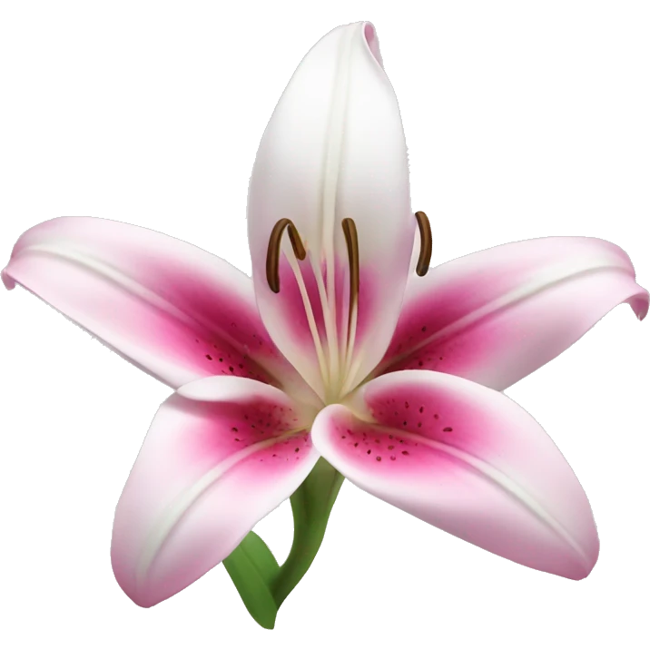 pink white liliy emoji