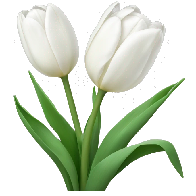 White tulips  emoji