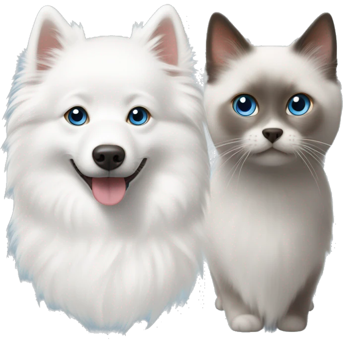 One white Japanese spitz with brown eyes and one small grey ragdoll cat with blue eyes  emoji