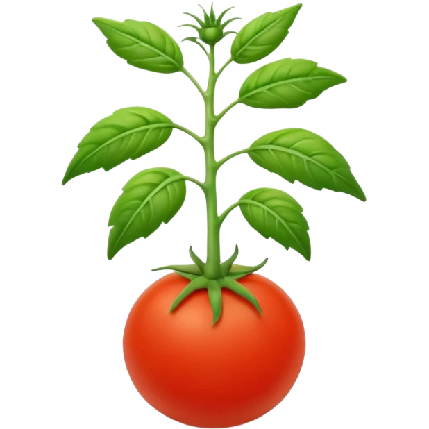 tiny young realistic tomato seedling emoji