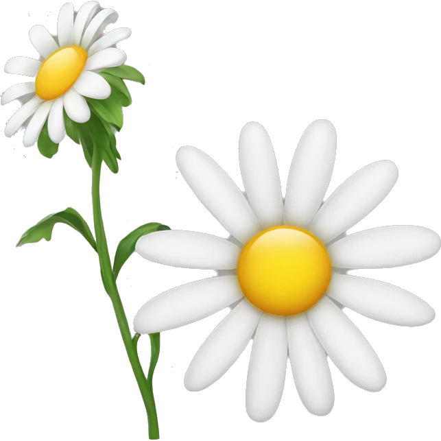 Daisy flower emoji