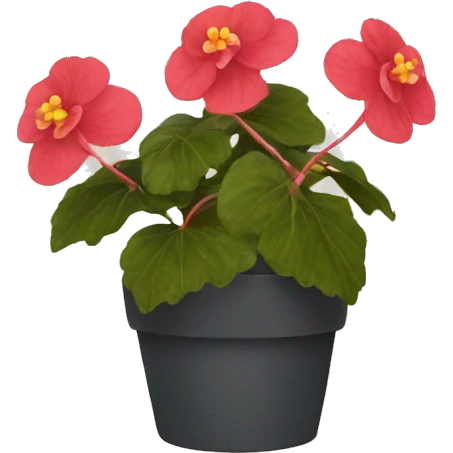 begonia emoji