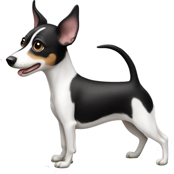 Black and white rat terrier dog emoji