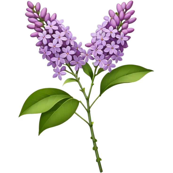 single bunch lilac flower, straight stem emoji