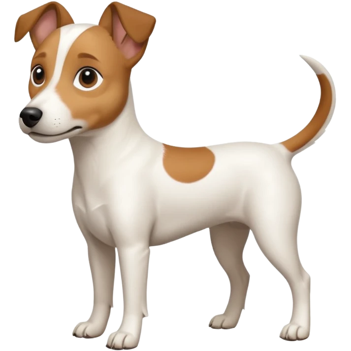 a full body white jack russel looking dog the size of a kelpie with light brown ears and a light brown patch on one eye and a large snout emoji