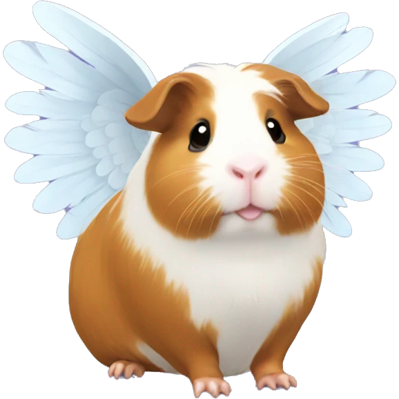 guinea pig with angel wings  emoji