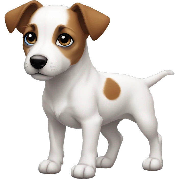 Muscular Jack Russel Terrier Puppy all white fur blue eyes, brown spot on right eye  emoji