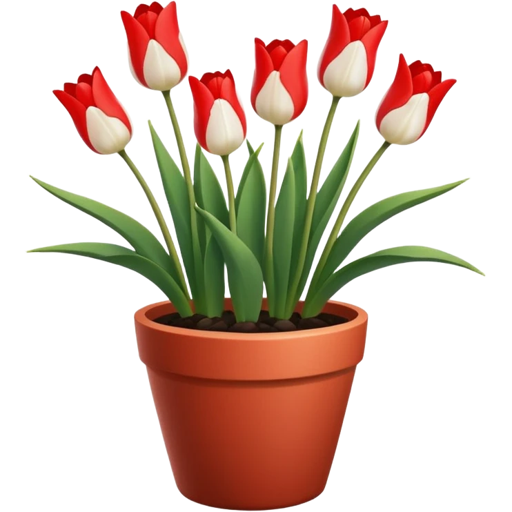 red and white tulips pot emoji