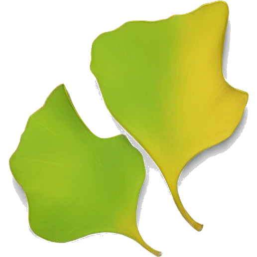 gingko leaf outli emoji