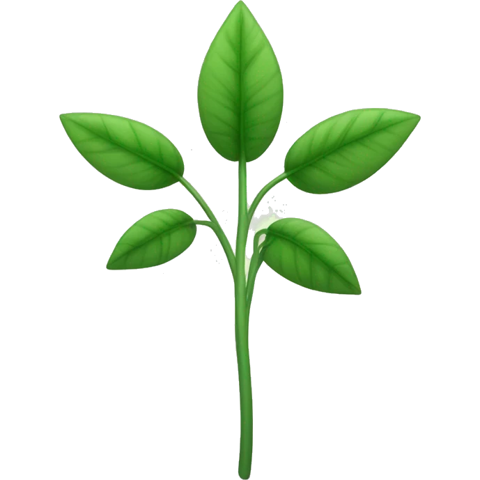  a plant with a thin, slightly hairy green stem. The leaves are oval, pointed, slightly serrated, and dark green in color. They are arranged in opposite pairs along the stem. emoji