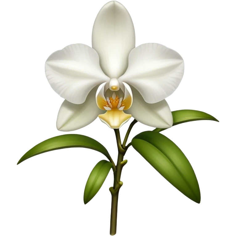 single white Dendrobium Orchid emoji