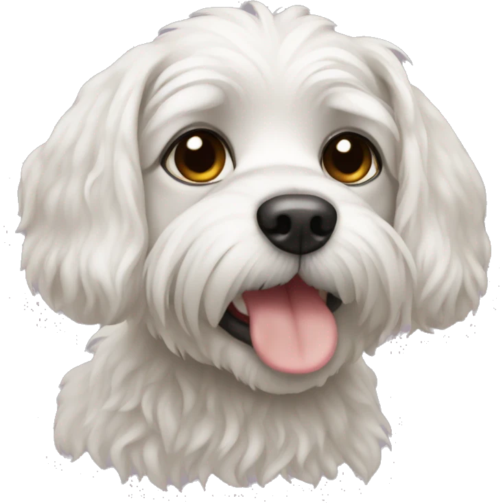 Dog maltipu emoji