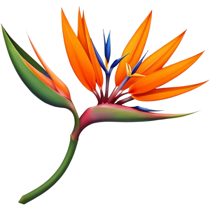 the flower the bird of paradise  emoji
