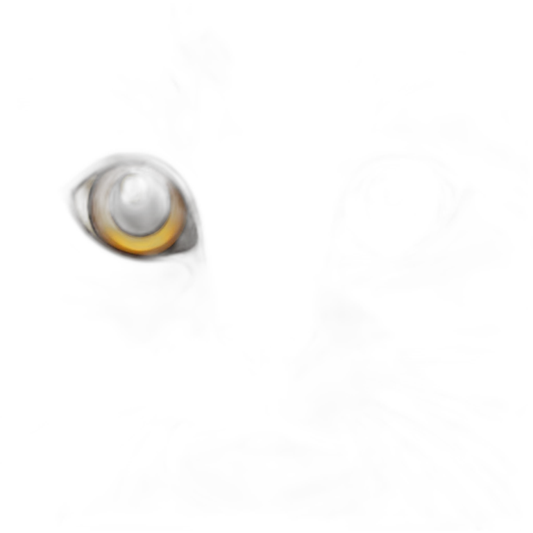 Tabby gray cat with beige mouth and dark nose and orange golden eyes emoji