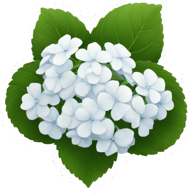 white hydrangea emoji