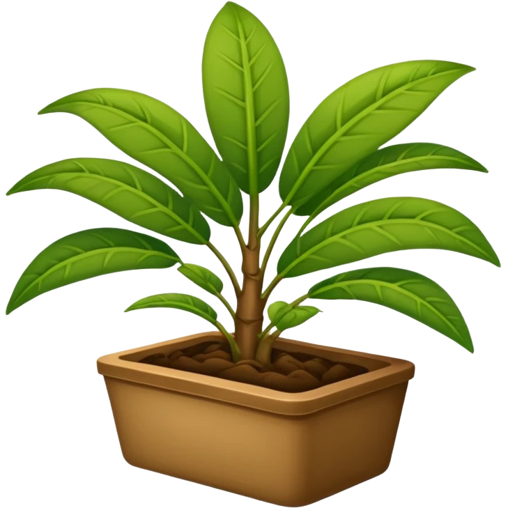 plantas abundantes tipo helecho en macetas rectangulares color café emoji