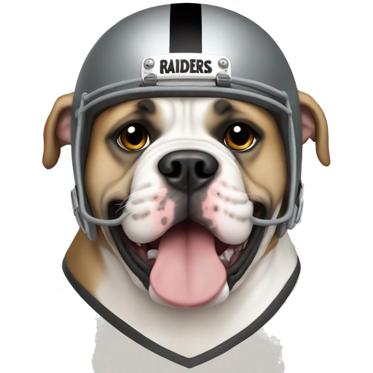 Tan American bulldog wearing a raiders helmet emoji